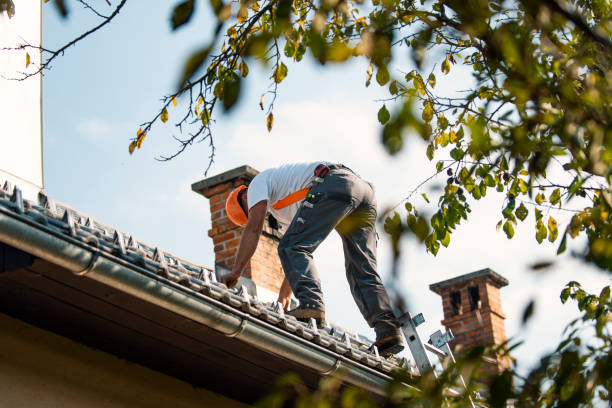 Best Commercial Roofing Services  in Elmwood, IL