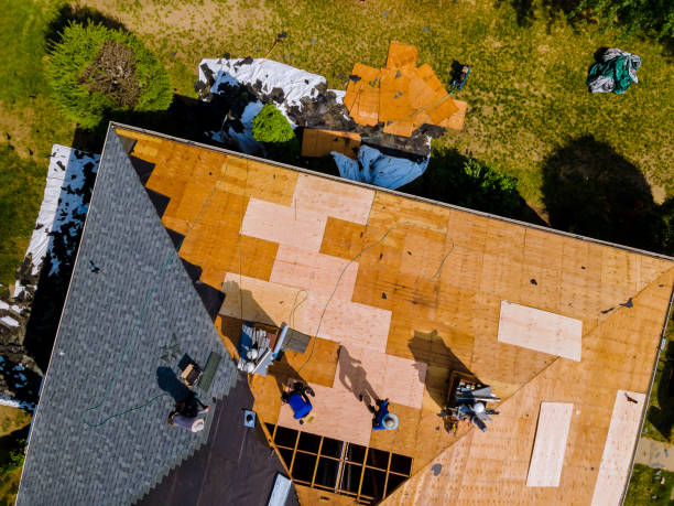 Professional Roofing Contractor in Elmwood, IL