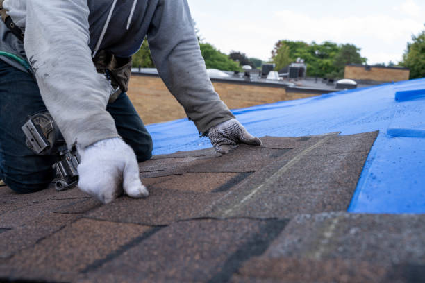 Best Flat Roof Repair Services  in Elmwood, IL