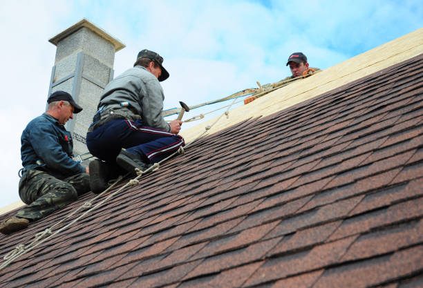 Best Roof Maintenance Services  in Elmwood, IL
