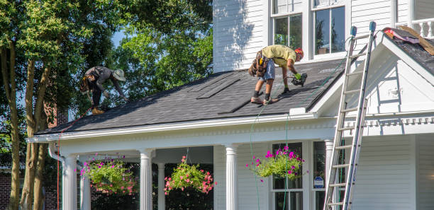 Best Metal Roofing Contractor  in Elmwood, IL