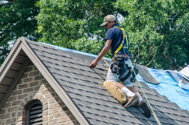 Best Flat Roof Repair Services  in Elmwood, IL